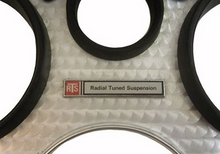 Load image into Gallery viewer, Radial Tuned Suspension Dash Emblem 1974-1981 Pontiac Firebird and Trans AM