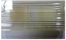 Load image into Gallery viewer, License Plate Light Lens Housing Set For 1974-1978 Firebird and Trans AM Models