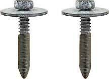 Load image into Gallery viewer, Carpet Guard Screw Set 1967-1981 Pontiac Firebird Chevy Camaro Nova