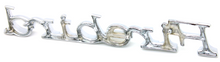 Load image into Gallery viewer, Diecast Front Fender Emblem For 1971-1981 Pontiac Firebird Made in the USA