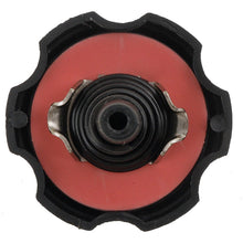 Load image into Gallery viewer, Power Steering Cap For 1993-2003 Pontiac Firebird and Trans AM Models