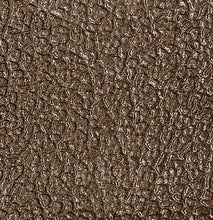 Load image into Gallery viewer, OER 20&#39; Roll Brown Door Jamb Windlace Molding 1961-72 Buick Chevy Olds Pontiac
