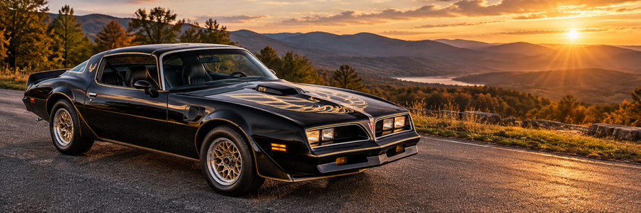 Firebird/Trans AM