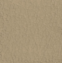 Load image into Gallery viewer, OER Tan/Beige Door Jamb Windlace Molding Pair 1961-72 Buick Chevy Olds Pontiac
