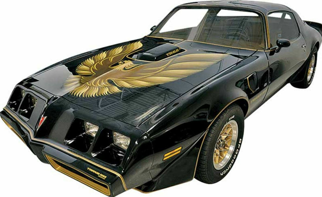 1979 Trans-Am Special Edition Bandit 5 Color Gold Decal Sit Pre-Molded Stripes