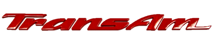Red Door Letter Emblem 1993-2002 Pontiac Firebird Trans AM Models